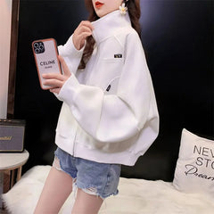 Korean Oversized Zipper Jacket